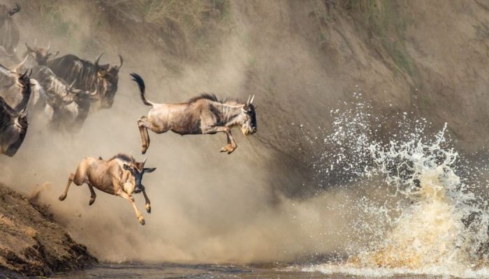 river crossing