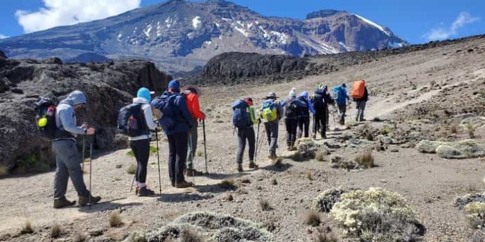 marangu route trekking