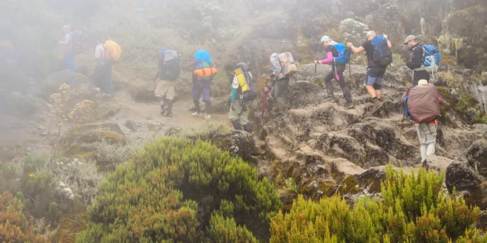marangu trekking